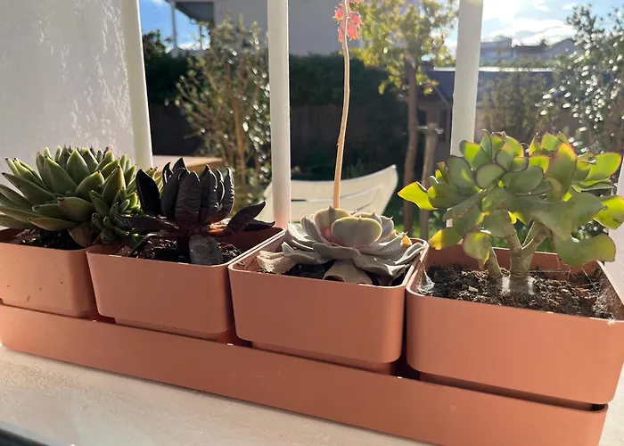 公寓 Deux Pieces Donnant Sur Un Jardin