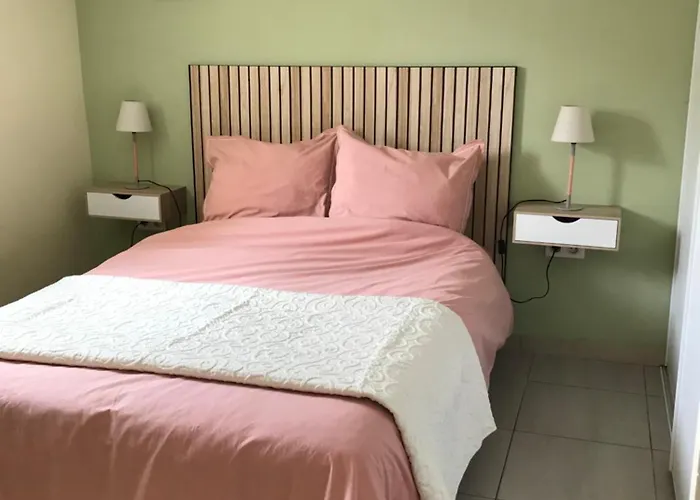 公寓 Deux Pieces Donnant Sur Un Jardin