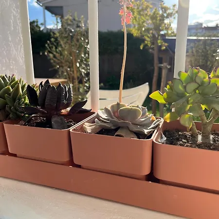 Apartment Deux Pieces Donnant Sur Un Jardin