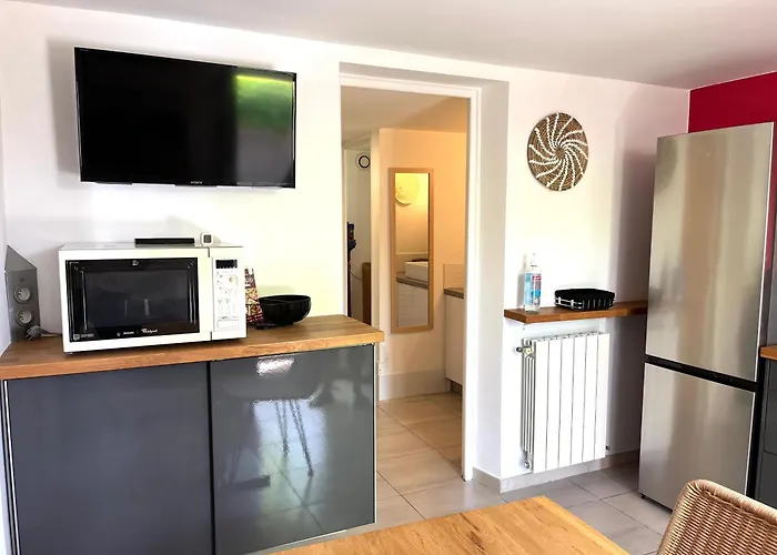 Apartment Deux Pieces Donnant Sur Un Jardin