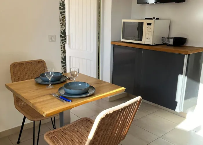 Apartment Deux Pieces Donnant Sur Un Jardin